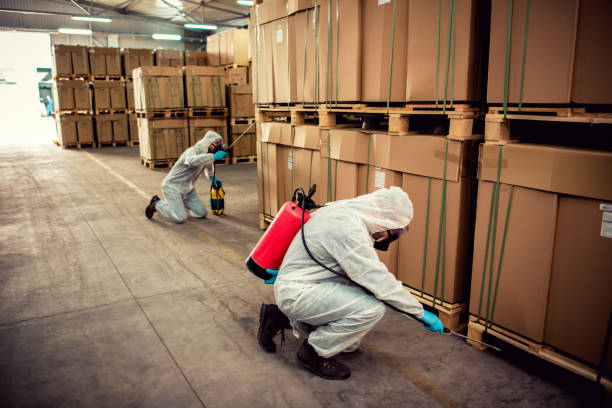 Best Pest Control for Businesses  in Gilbert, MN