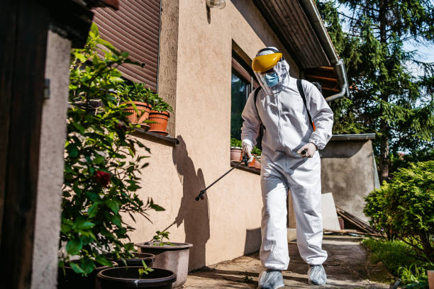 Pest Control Cost in Gilbert, MN