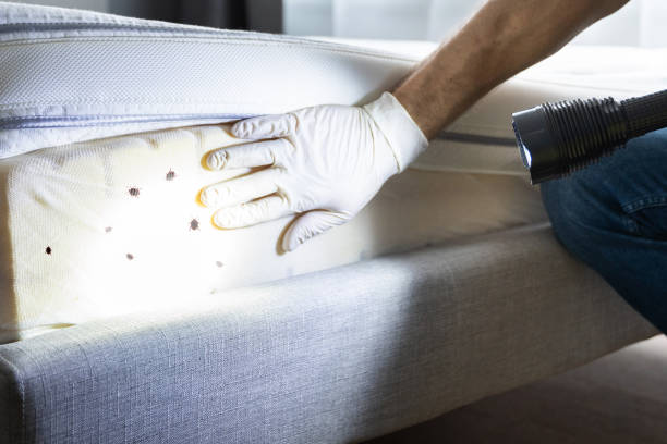 Pest Control Cost in Gilbert, MN